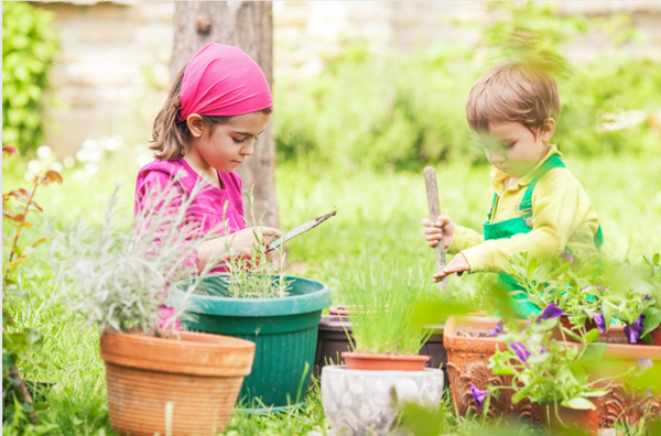 Plant a Backyard, Balcony or Windowsill Garden This Spring with Your Kids.
