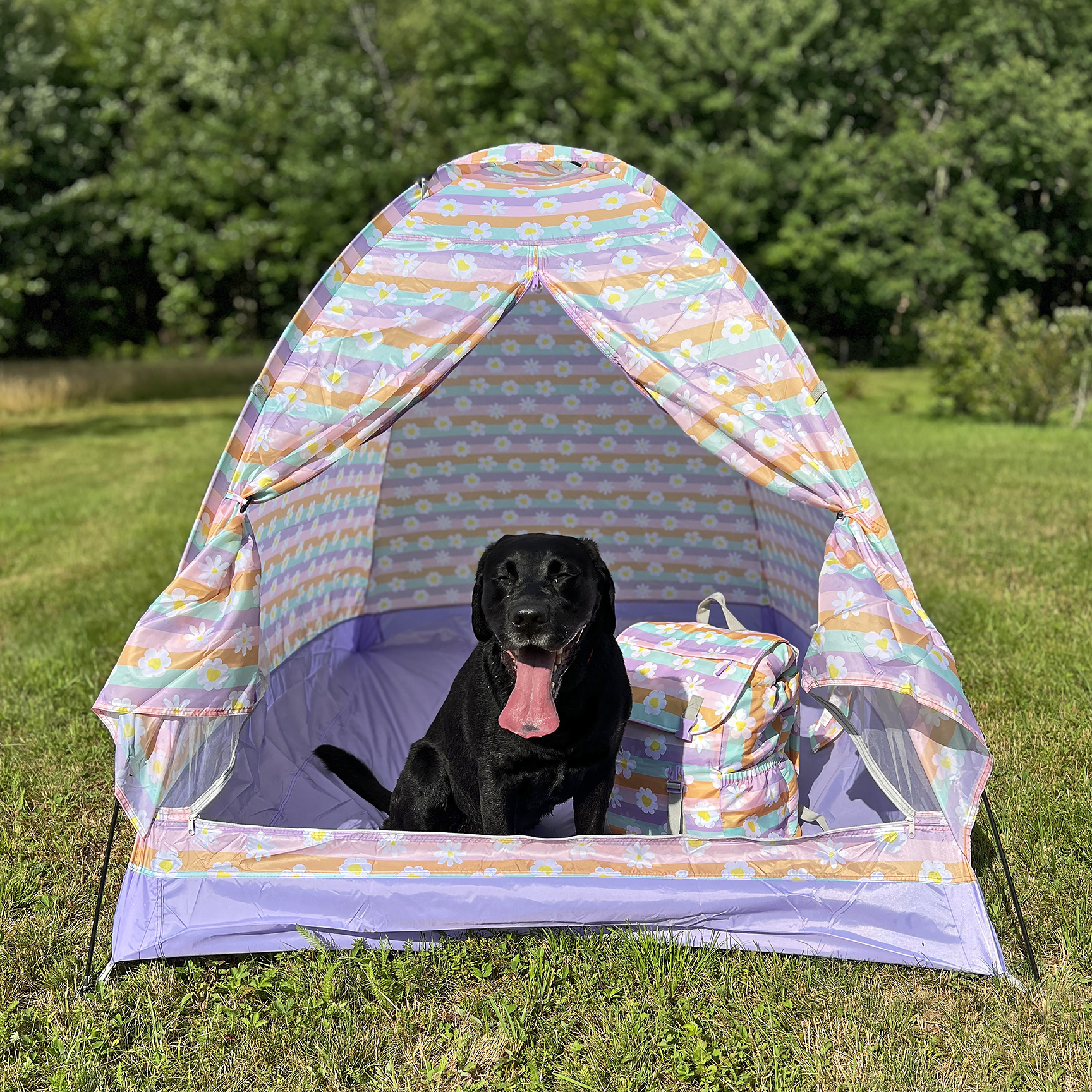 Indoor/Outdoor Camping Play Tent - Happy Daisy Stripes