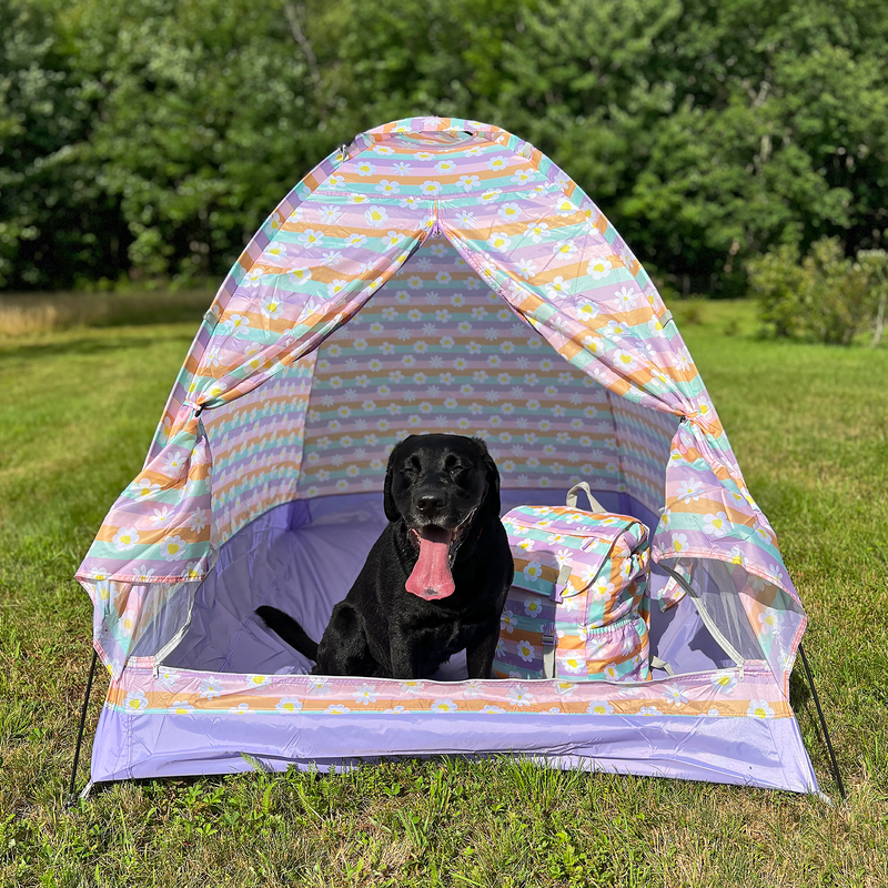 Indoor Play tents Indoor Camping Tents Mimish Inc. mimish inc